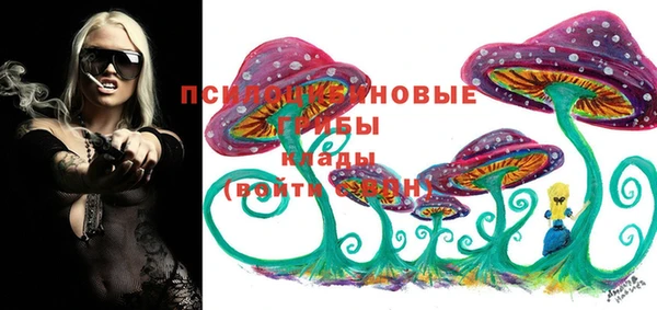 сатива Покров
