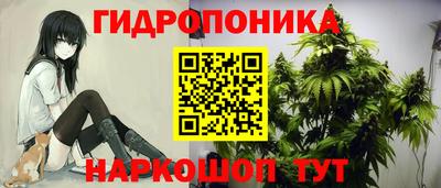 прущая мука Гай