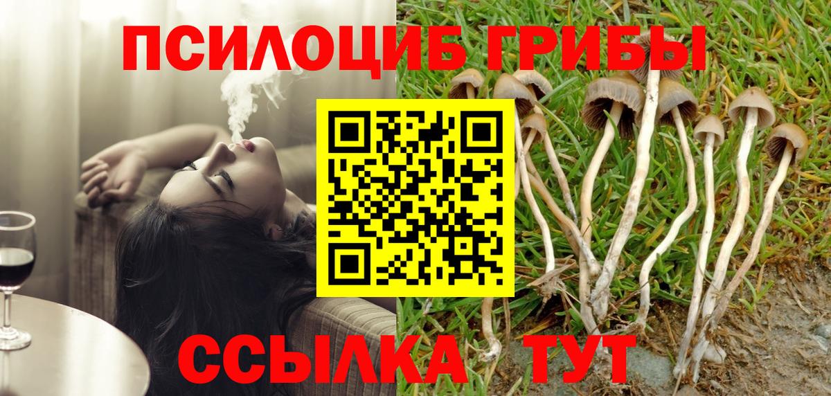 Псилоцибиновые грибы GOLDEN TEACHER Алейск