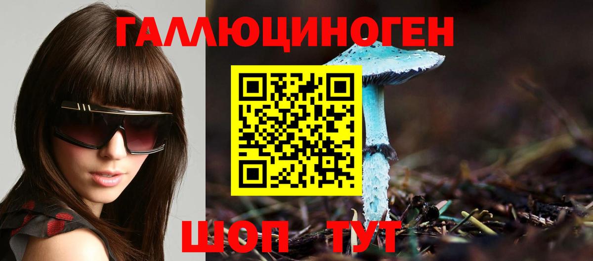 Алейск  Псилоцибиновые грибы GOLDEN TEACHER  Вход с VPN 