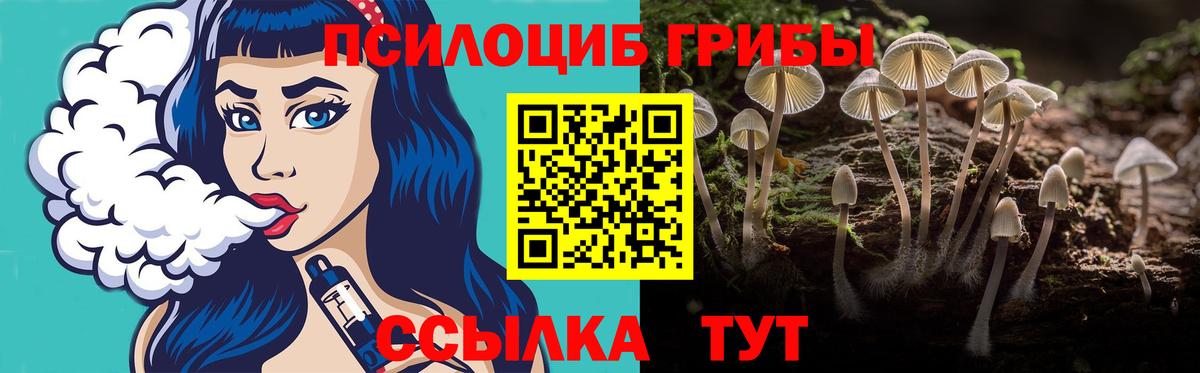 Галлюциногенные грибы мицелий  Алейск 